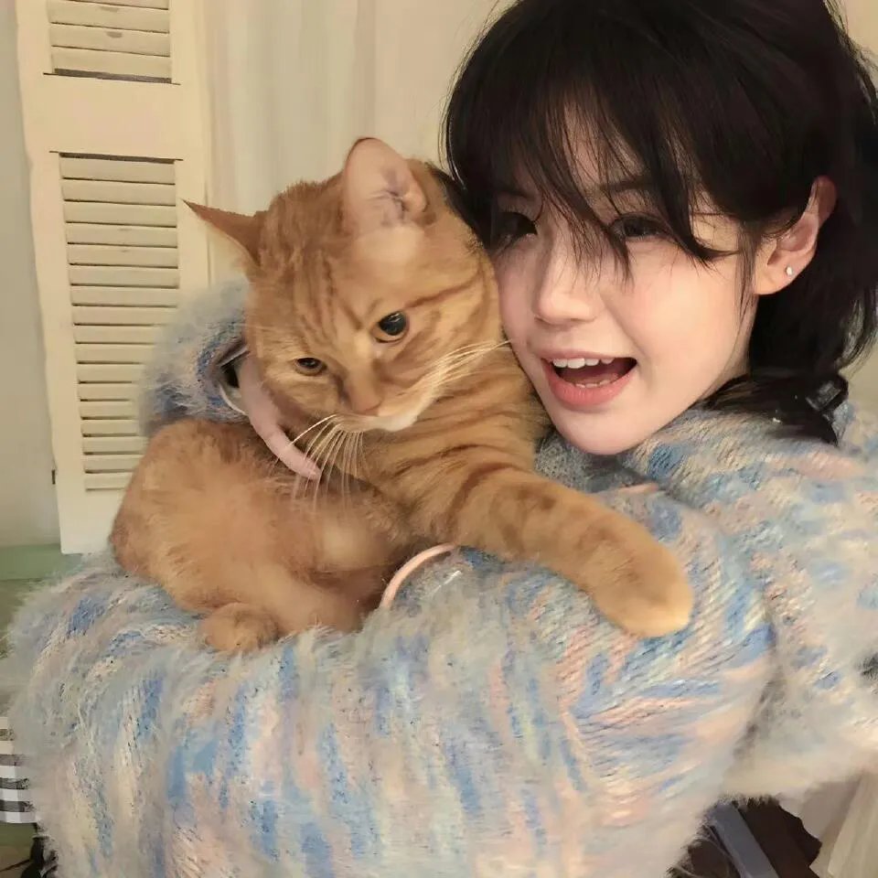 加菲猫和他的朋友们第六季