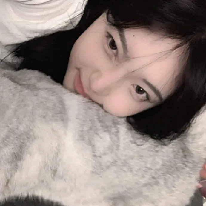 哈林四女子第二季